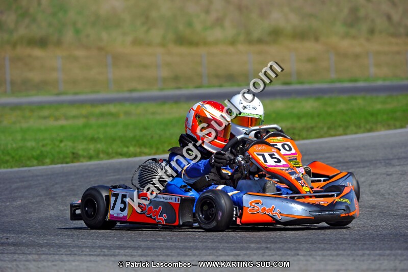 DSC_ (1256).jpg